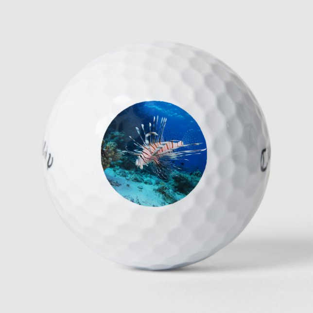 Lionfish or Pterois Miles, Ocean Reef Fish Golf Balls (Front)