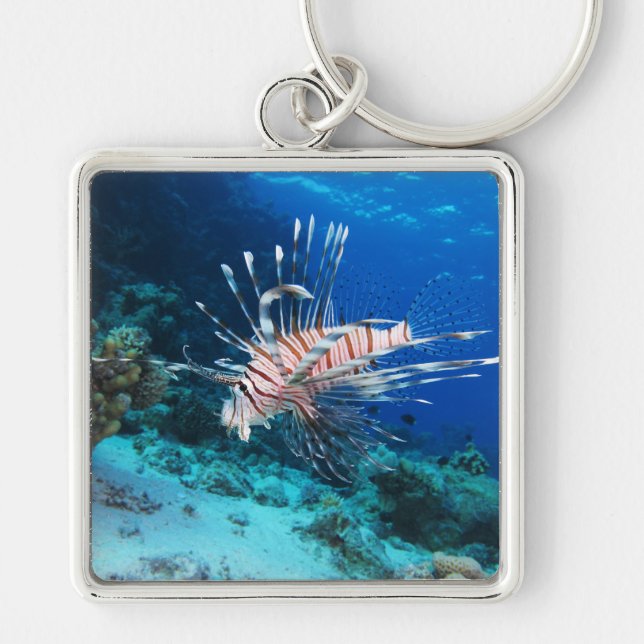 Lionfish or Pterois Miles, Ocean Reef Fish Key Ring (Front)