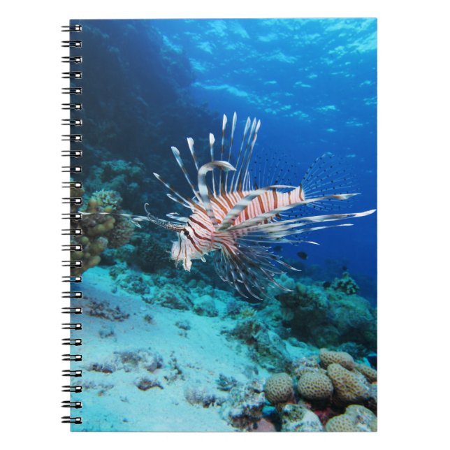 Lionfish or Pterois Miles, Ocean Reef Fish Notebook (Front)