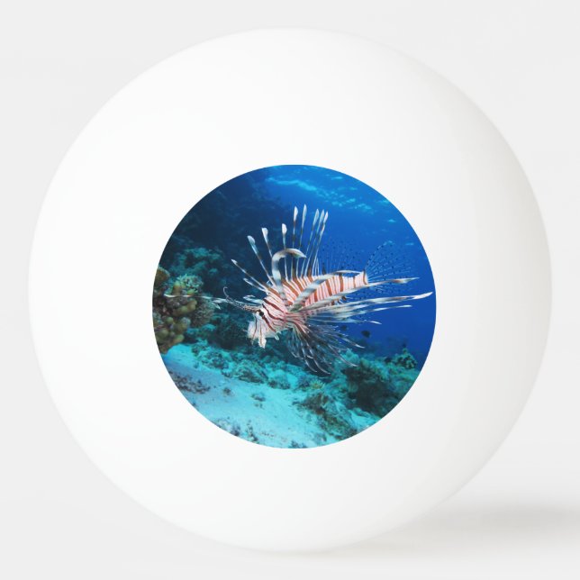 Lionfish or Pterois Miles, Ocean Reef Fish Ping Pong Ball (Front)