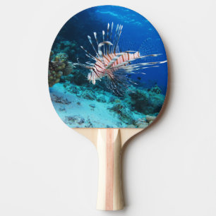 Lionfish or Pterois Miles, Ocean Reef Fish Ping Pong Paddle