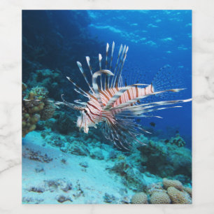 Lionfish or Pterois Miles, Ocean Reef Fish Wine Label