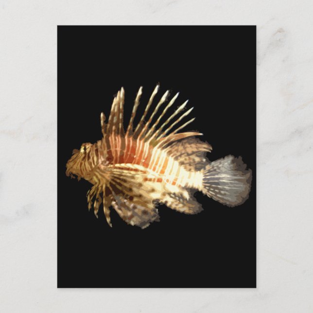 Lionfish Postcard (Front)