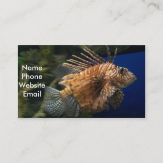 Lionfish Profile Card