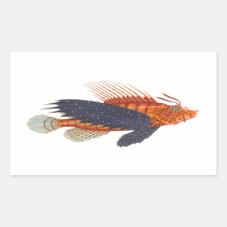 Lionfish - Pterois - Lion Fish Antique Engraving Rectangular Sticker