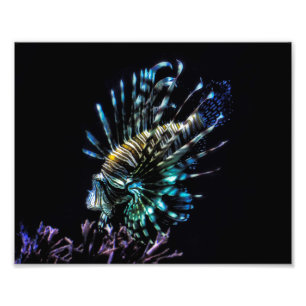 lionfish swims photo print