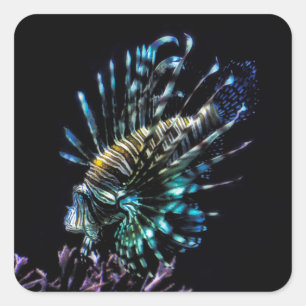 Lionfish swims square sticker