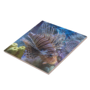 Lionfish Tile
