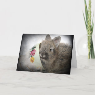Lionhead Bunny and Teacup All Occasions Card