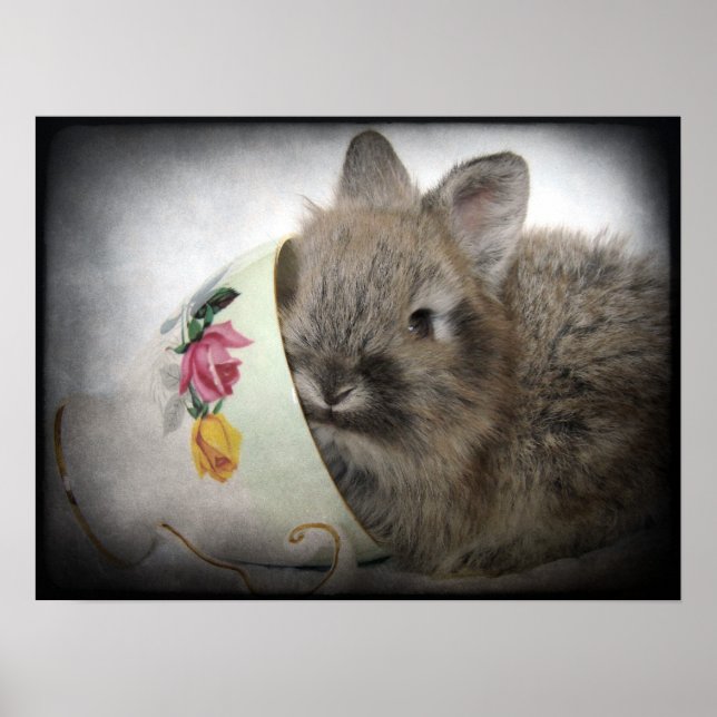 Lionhead Bunny and Teacup Poster (Front)