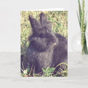 Lionhead Bunny Faux Vintage Card