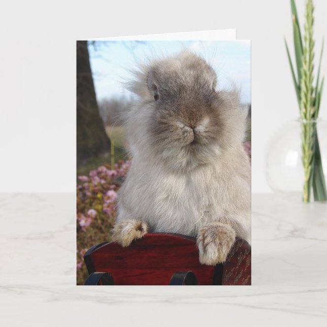 Lionhead Bunny in Sleigh, Christmas Holiday Card (Front)