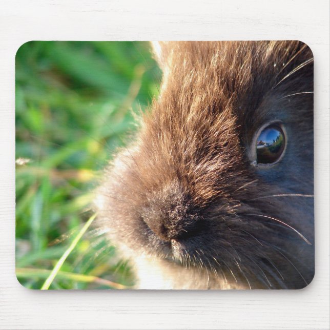 Lionhead Bunny Mouse Mat (Front)