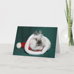 Lionhead Bunny Santa Holiday Card