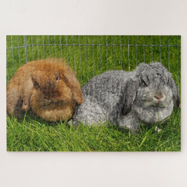 Lionhead Holland Mini Lop Bunny Rabbit Jigsaw Puzzle (Horizontal)