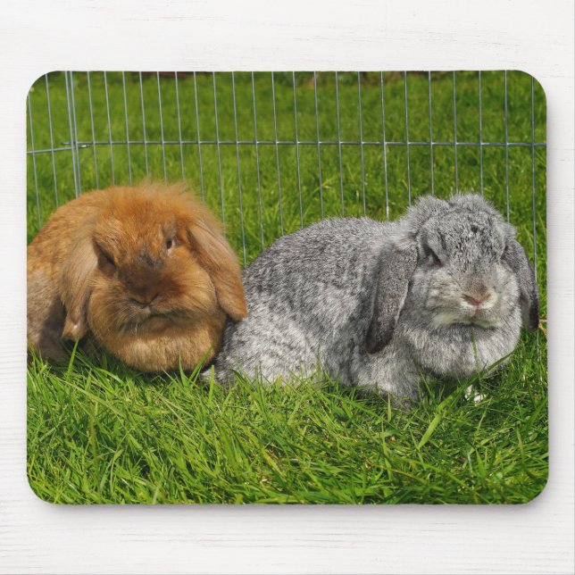 Lionhead Holland Mini Lop Bunny Rabbit Mouse Mat (Front)