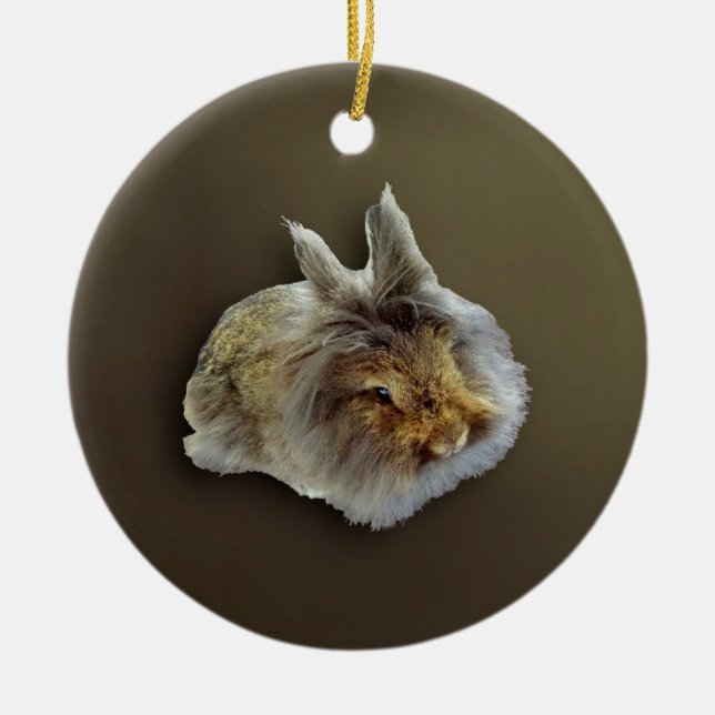 Lionhead Rabbit Ceramic Tree Decoration (Front)