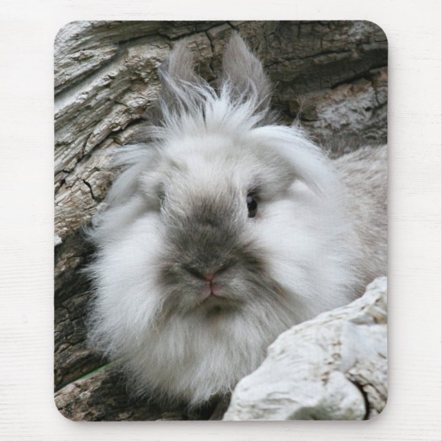 Lionhead Rabbit Mouse Mat (Front)