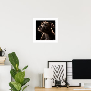 Lionhearted Poster
