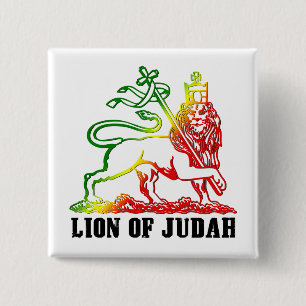 lionofjuda button colour