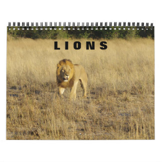 LIONS  - ALL LIONS CALENDAR