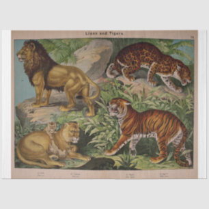 Lions and Tigers Ephemera Decoupage Tissue Paper