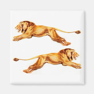 lions at cross purposes magnet