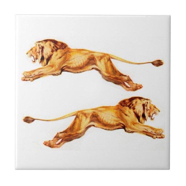 lions at cross purposes tile (Front)