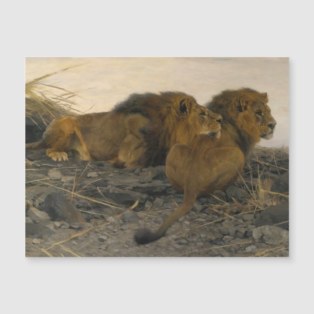 Lions at Watch by Wilhelm Kuhnert (Front)
