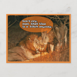 Lions being comforting postcard