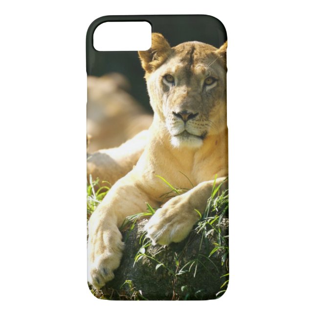Lions Case-Mate iPhone Case (Back)
