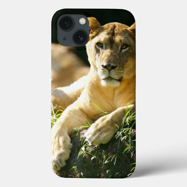 Lions Case-Mate iPhone Case (Back)