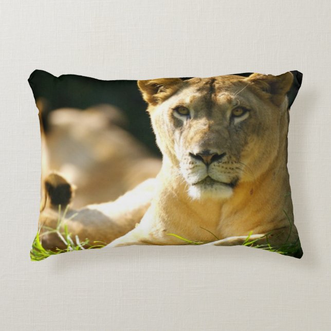 Lions Decorative Cushion (Front)