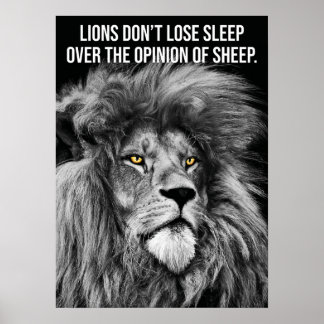 Lions Don't Lose Sleep Over Opinions Of Sheep Poster