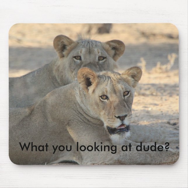 Lions funny mouse mat (Front)