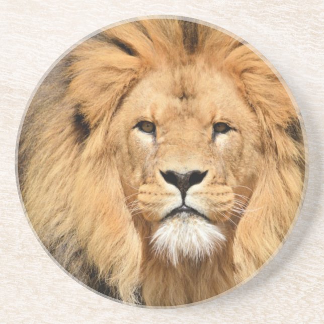 Lions Head Coaster (Front)