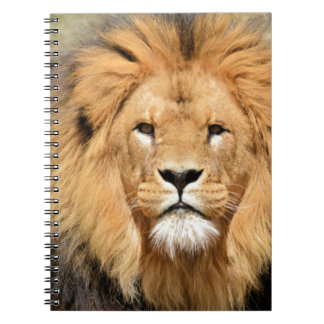 Lions Head Notebook