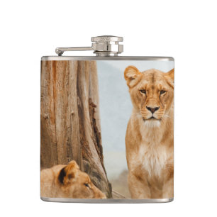 Lions Hip Flask