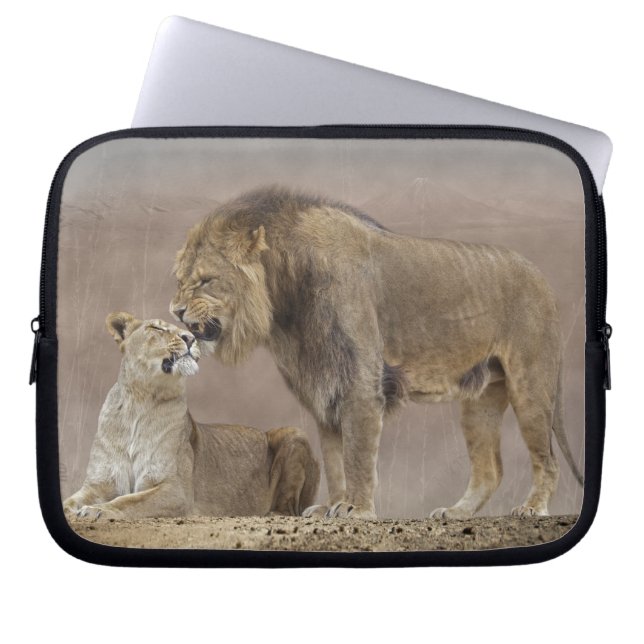 Lions in Love Laptop Sleeve (Front)