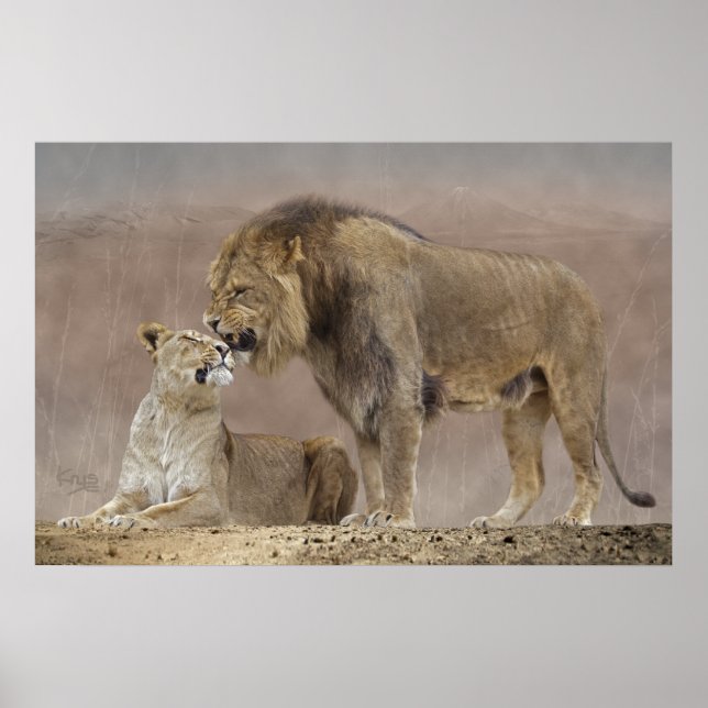 Lions in Love Print (Front)