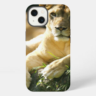 Lions iPhone 13 Case