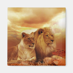 Lions Magnet