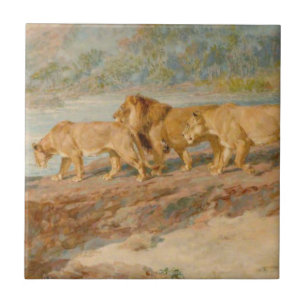 Lions on the Bank of an African River Tile