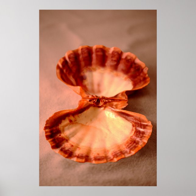 Lions Paw Poster (Front)