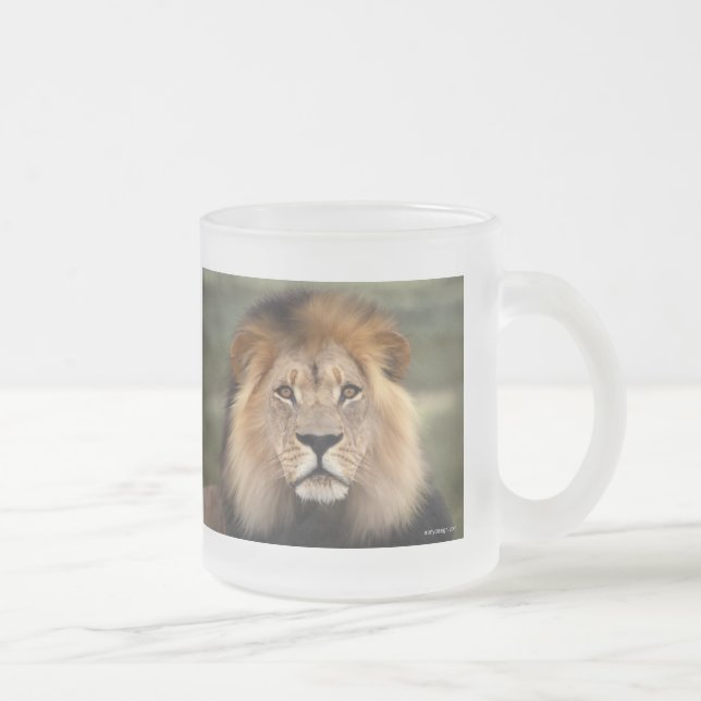 Lions Photograph Frosted Glass Coffee Mug (Right)