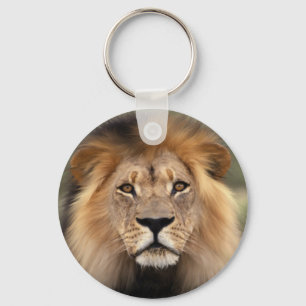 Lions Photograph Key Ring