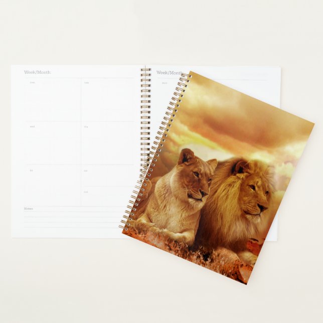 Lions Planner (Display)
