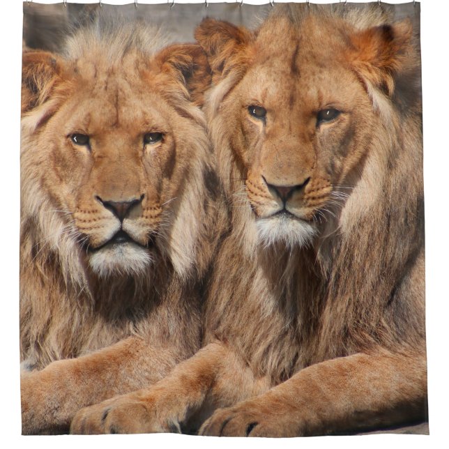 Lions Shower curtain (Front)
