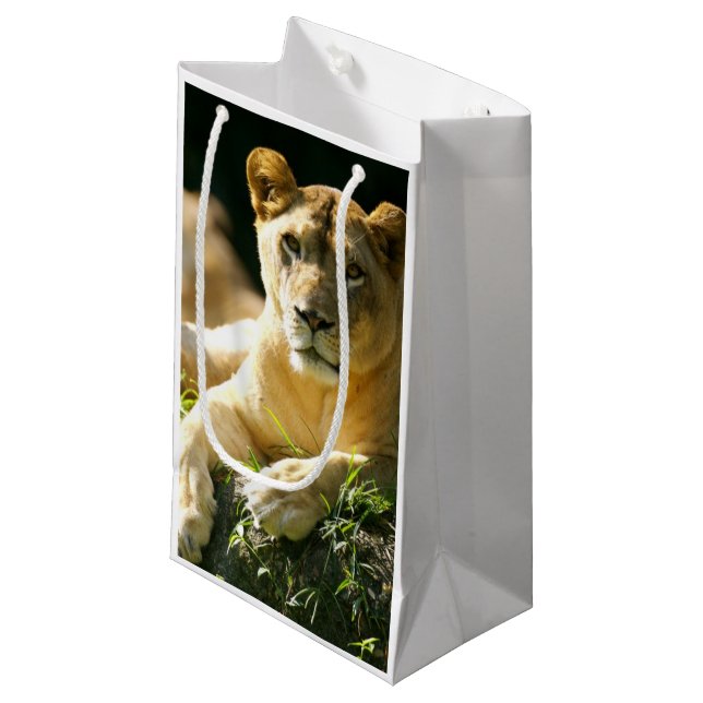 Lions Small Gift Bag (Front Angled)
