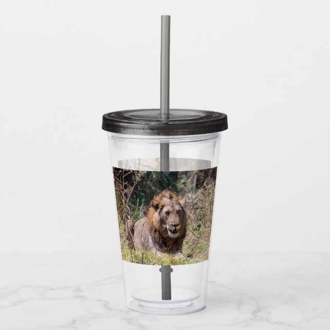 Lions Tumbler (Front)